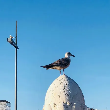 アジアン エベレスト ハウス リスボン
