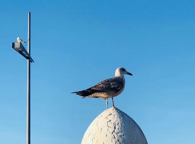 Asian Everest House Lisbona